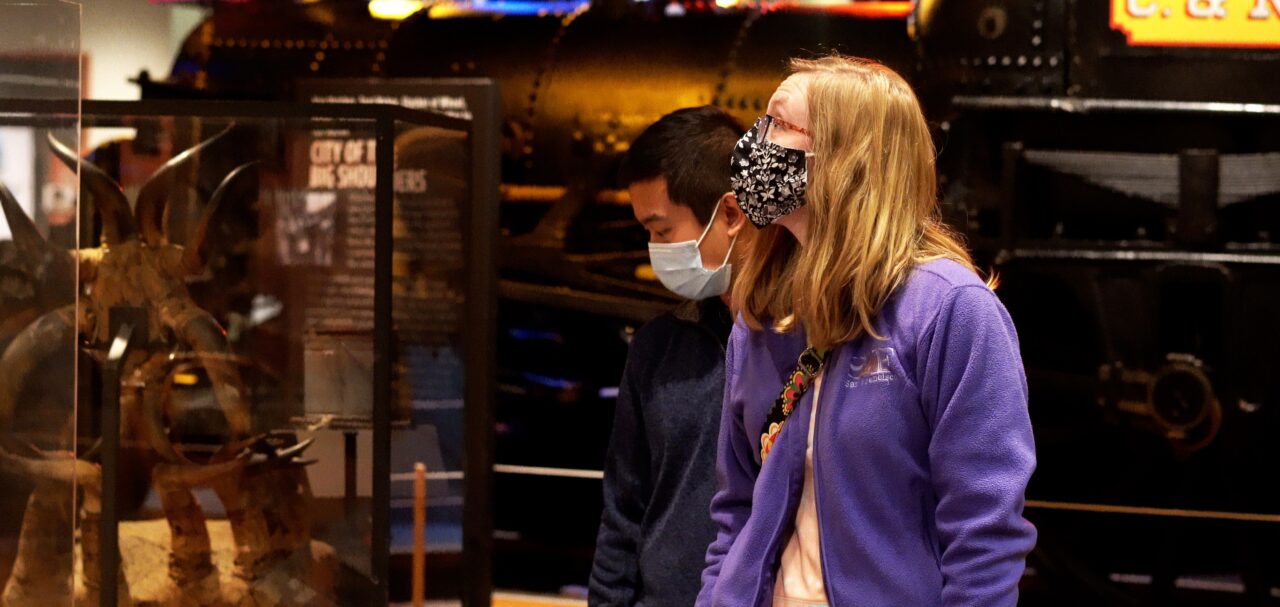 CHM-masked visitors-banner